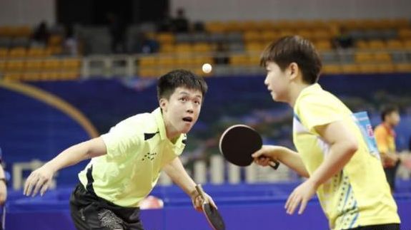 领域的合作 领域的合作